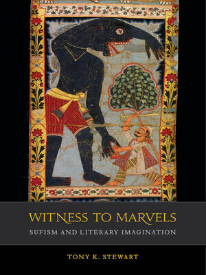 cover image of Witness to Marvels